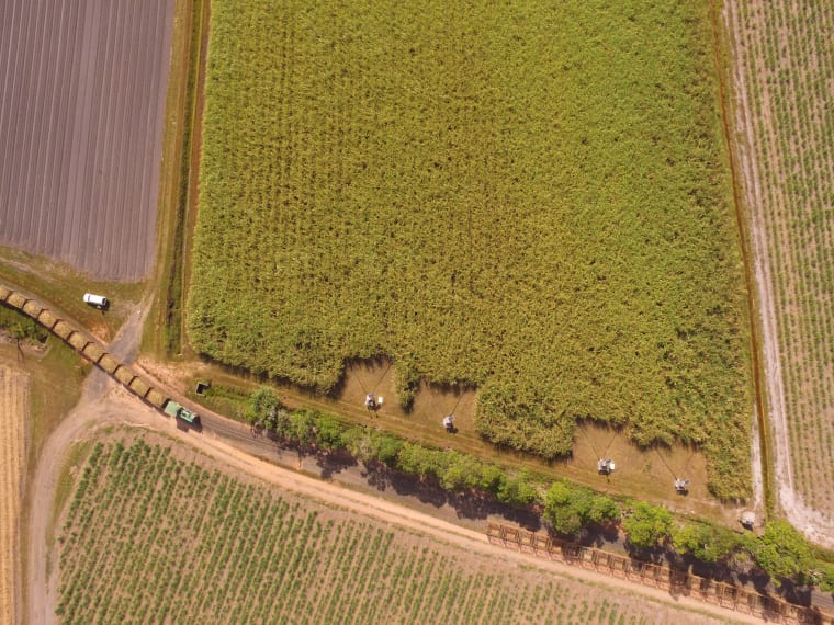 An aerial view of lush green farmland and fields.
